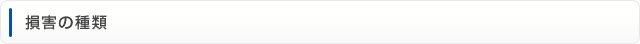 損害の種類